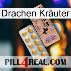 Drachen Kräuter 41